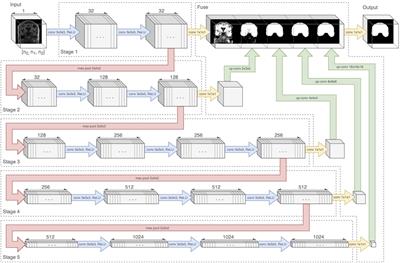 Convolutional Neural Net Learning Can Achieve Production-Level Brain Segmentation in Structural Magnetic Resonance Imaging